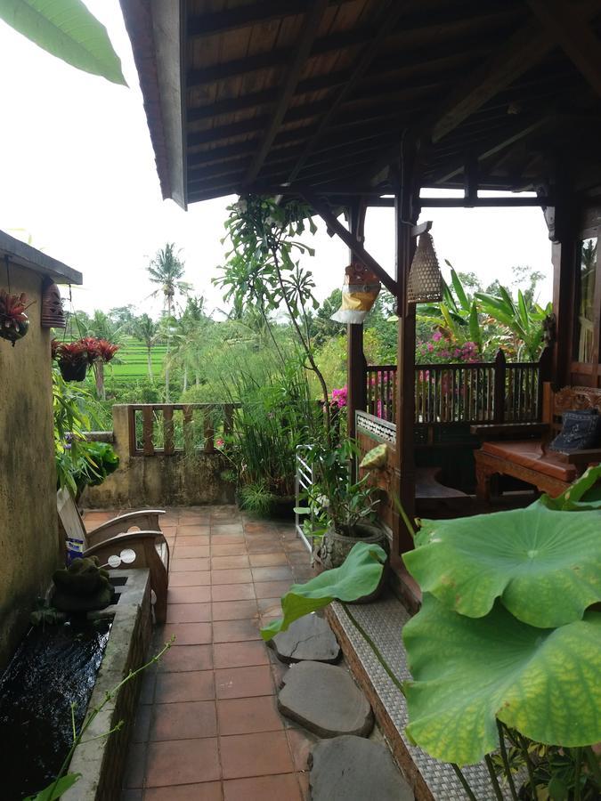 Ogek Home Stay Ubud Kültér fotó